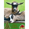Goat Christmas Card 'Merry Christmas' - Special Xmas Card for