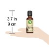 Essential Clove Bud Essential Oil 30ml (1oz) Creation Pharm