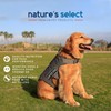 Nature's Select Cold Water Recipe - Fish, Dry Dog Food