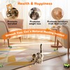 Interactive Cat Toy for Indoor - Automatic Cat Treadmill with