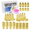 Ailbiuko Air Coupler & Plug Kit,45 Pcs 1/4" NPT Air