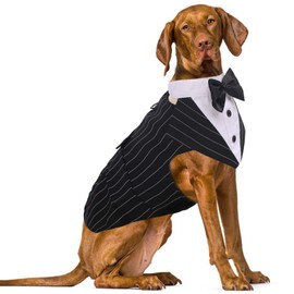 IDOMIK Dog Tuxedo for Small Medium Large Doggie, Detachable Dog Formal Wedding Suit with Tuxedo Vest & Bow Ties Collar & Bandana Scarf Set, Wedding Attire Shirt for Birthday Party Costume