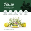 Ricola Sugar Free Original Swiss Herb Cough Drops, 19Count (Pack