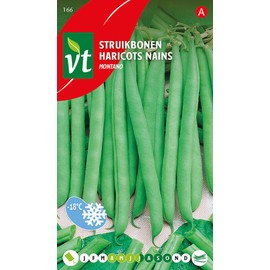 Montano Beans - Vegetable Seeds