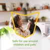 Raid Essentials Multi-Insect Killer Spray Bottle, Child & Pet Safe,