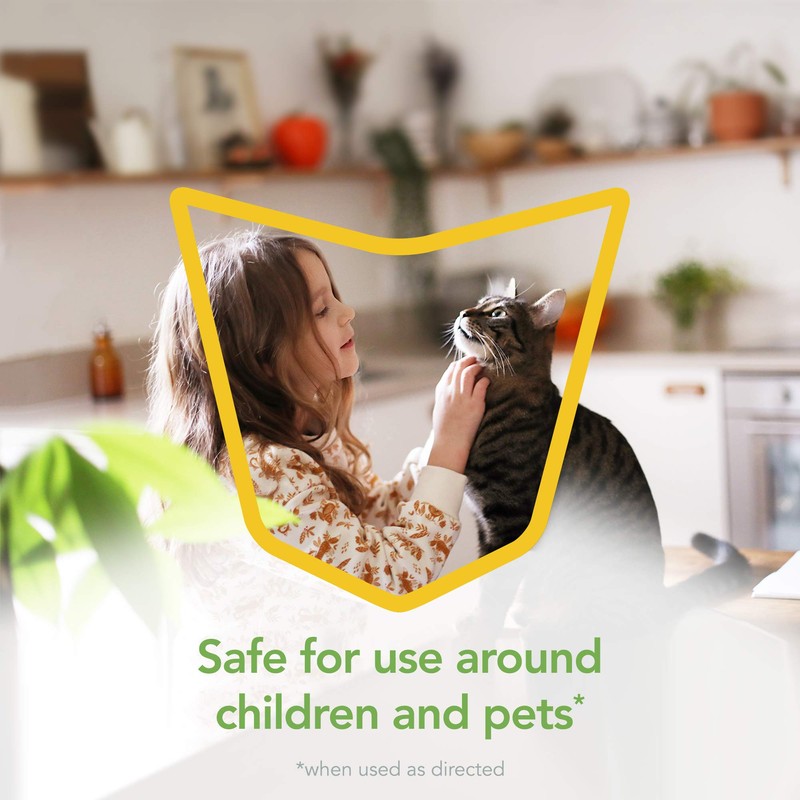 Raid Essentials Multi-Insect Killer Spray Bottle, Child & Pet Safe,