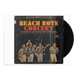 sdroceRyaM 7 inch Vinyl Record Outer Sleeves with Flap Clear Vinyl Record Sleeves Storage Protector for EP Album Covers, 25pcs