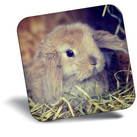 Destination Vinyl ltd Fridge Magnet - Cute Baby Bunny Rabbit Pet Animal for Office, Cabinet and Whiteboard, Magnetic Stickers, 44752