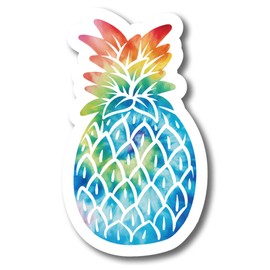 Magnet Me Up Tie Dye Pineapple Magnet Decal, Upside Down Pineapple, 6x4 Inch, Funny Cute Joke Gag Gift, Automotive Magnet for Car, Truck, SUV, Cruise Ship Door, Tropical Summer Vibes, Crafted in USA