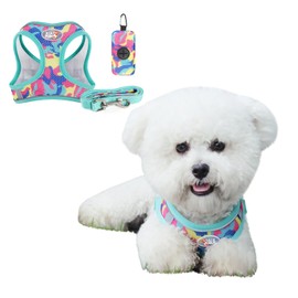 BT Bear Dog Harness 3 in 1 Dog Harness Leash and Bag Adjustable No Pull D-Ring Reflective Mesh for Puppy Small Dogs Colorful Medium