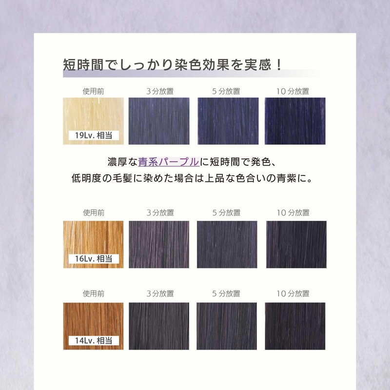 Neocaratori Ash Purple MOUTON Color Care Blue Purple [Bleach Care/Hair