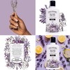 Poo-Pourri Lavender Vanilla 9-Ounce Refill Bottle and 1.4-Ounce Refillable Bottle