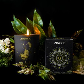 Aquarius Candle for Women, ZINCGE Zodiac Sign Aquarius Gifts for Men Candle Astrology Gifts, January Birthday Gifts, Scented Candles for Men Christmas Gifts, Soy Candles for Home Scented