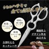 Kitchen Scissors, Stainless Steel, Disassemble and Washable, Dishwasher Safe, Rust