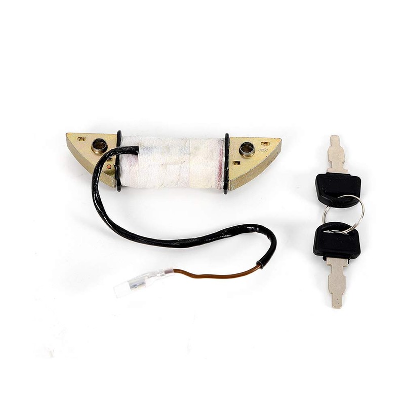 CHUNILLE Starter Motor Electric Start Kit Flywheel for Honda GX240