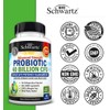BioSchwartz Daily Probiotic Supplement with 40 Billion CFU - Gut