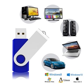 RAOYI 5 Pack 32GB USB Flash Drive USB 2.0 Memory Stick Swivel USB Stick 32G USB Drive Metal Cap Thumb Drive with LED Light USB Key for Data Storage (5 Mixed Colors: Black Red Blue Green Purple)