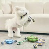 WINIZ Durable Dog Toy – Interactive Chew Toy – Multiple