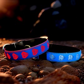 DOGLED Subversive USB-C led Light up Airtag Dog Collar, Subversive 3D Sunflower Design Comfortable and Soft Material,Multicolored Lighting (D-Blue, M(15.7-19.7"))