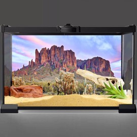 AWERT 36x18 inches Terrarium Background Blue Sky Cloud Mountain Huge Cactus Joshua Trees Oasis Gobi Reptile Habitat Background Durable Polyester Background