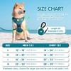 PoyPet No Pull Dog Harness and 5 Feet Leash Set,