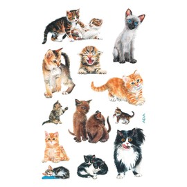 Avery Zweckform Creative Paper Sticker 76 x 120 3Bögen Katzenbabies Design