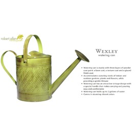 Robert Allen Home & Garden Robert Allen MPT01500 Wexley Metal, Tansy Green 2 Gallon Watering can