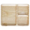 'Acacia (Acacia) Cafe Plate Cafe Plate Square