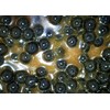 Tandem Baits Carp Feed Fishing Food Hook Bait Carp Food