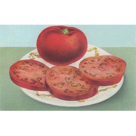 Fresh Tomato and Slices - Vintage Image