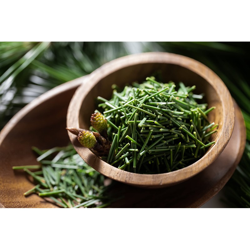 Domestic Pine Needle Tea Bags 0.07 oz (2 g) x