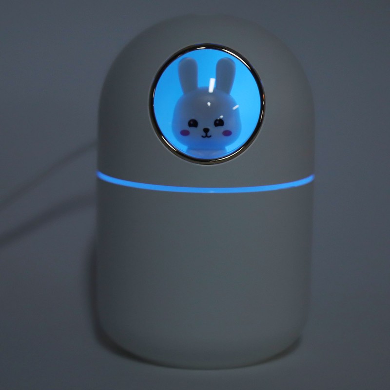 Humidifier Aroma Diffuser USB Power Supply 300ml Capacity Auto Shutdown