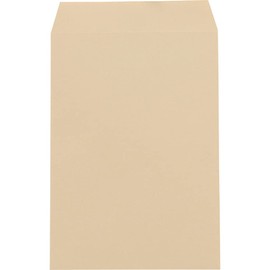 King Corporation Kraft Envelopes, Square No. 0, 100 ct.