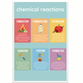 Chemical Reactions Classroom Poster - Science Class Poster - 12 x 18 Inch - Classroom Decor - Classroom Must Haves - Back To School Decor - CPS0323