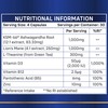Brainwave Nootropics® Brain Supplement | Mental Performance & Cognitive Function