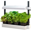 SunBlaster SL1600199 Micro Grow Light Garden, White, Small