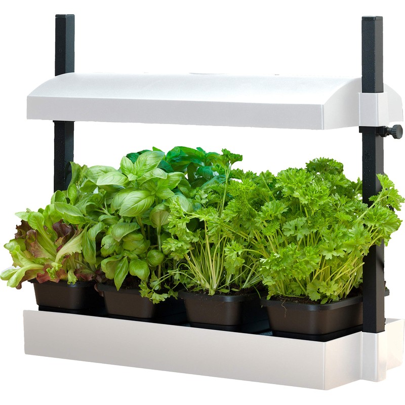 SunBlaster SL1600199 Micro Grow Light Garden, White, Small