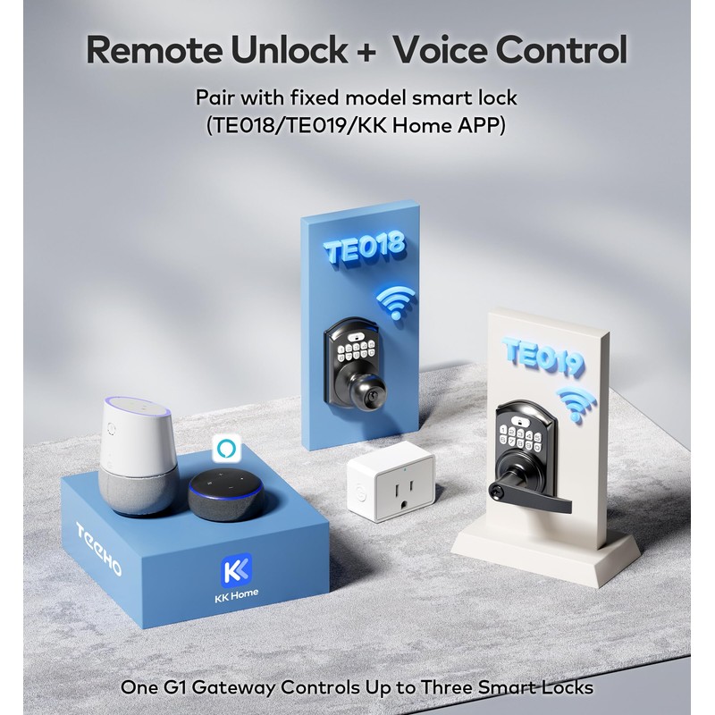 TEEHO G1 Gateway for Smart Door Lock with Smart Plug,