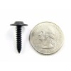 SFS Datsun Interior Trim Screws- #8 x 1/2" to 1"