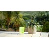 RELAXOUND Original Junglebox Jungle Sound - Nature Sounds - Rainforest
