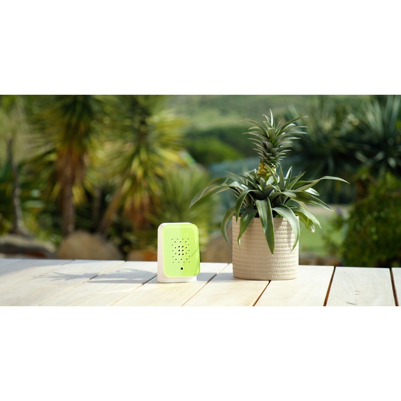 RELAXOUND Original Junglebox Jungle Sound - Nature Sounds - Rainforest