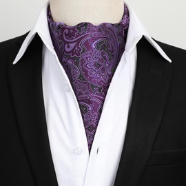 HISDERN Ascot Tie Purple Paisley Cravat Ties for Men and Pocket Square Set Floral Mens Ascot Scarf Handkerchief Wedding Party