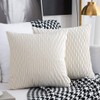 Cushion Covers Set of 2 Decorative Rectangular Square Pillow Case