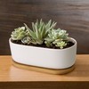 Ceramic Succulent Pots - 1 Pot - Short Oval Shaped