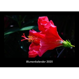 Blumenkalender 2025 Fotokalender DIN A3: Monatskalender mit Bild-Motiven aus Fauna und Flora, Natur, Blumen und Pflanzen