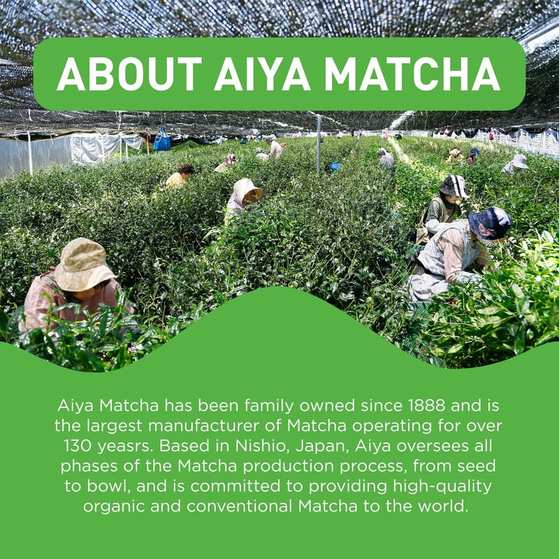 Aiya Certified USDA Organic Culinary Grade Matcha Green Tea Powder