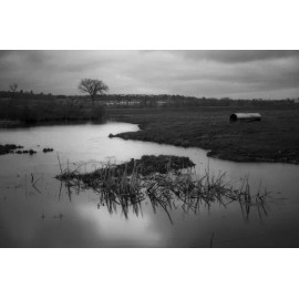 European 35mm BW - Svema MZ-3 (1 Roll)