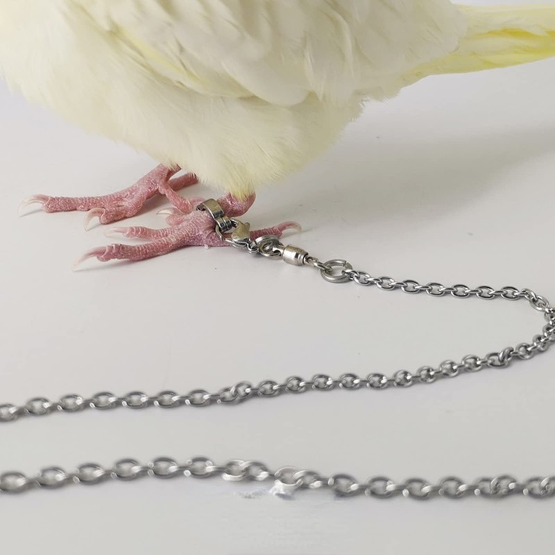 Bird Foot Chain Flying Stainless Steel Training Rope Outdoor Parrot