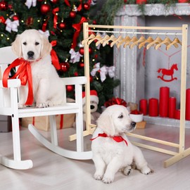 Estune Dog Garment Rack with 12 Wood Pet Clothes Hanger Wooden Dog Dress up Storage Small Closet Pet Clothes Organizer Accessories for Doll Cat and Puppy(Medium)