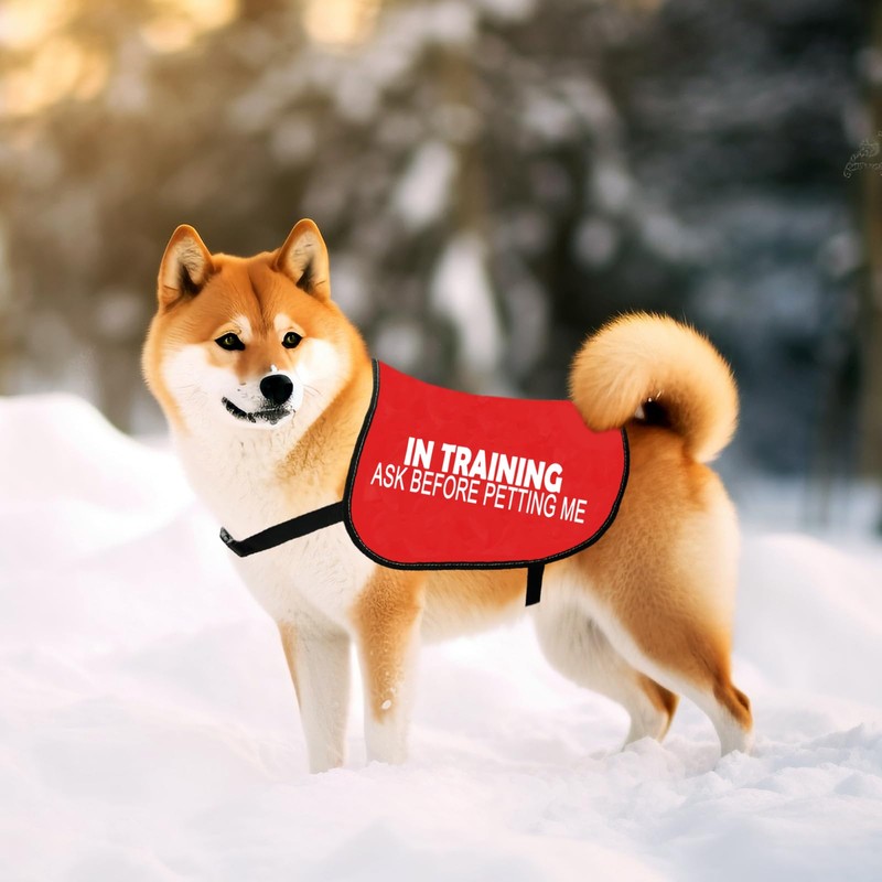 In Training Ask Before Petting Me Dog Jacket Vest Alert